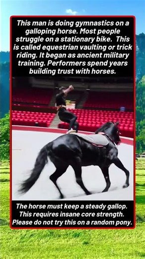 Acrobatics On Horseback In A Circus Ring