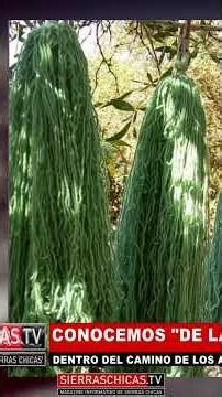 Descubre el Camino de Artesanos - Talleres y Creaciones Únicas #sierraschicas #unquillo #artesanal