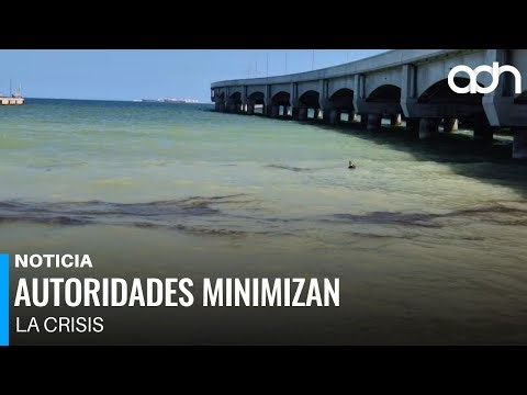 Derrame de diésel en Progreso, Yucatán contamina el mar y autoridades lo minimizan