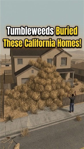 The Day Tumbleweeds Buried a California Neighborhood