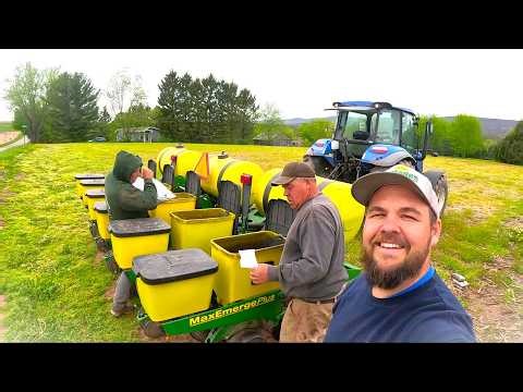 My First Time Trying New Tomato Varieties and Test Plot Seeding