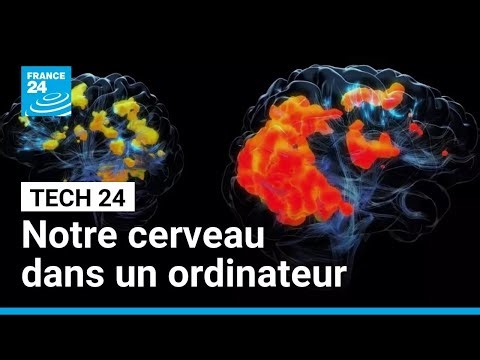 Le projet fou d’un ordinateur croisé avec des neurones humains • FRANCE 24