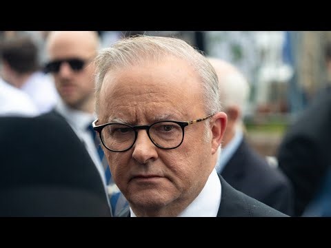 Albanese feeling the pressure after business leaders call for a Royal Commission