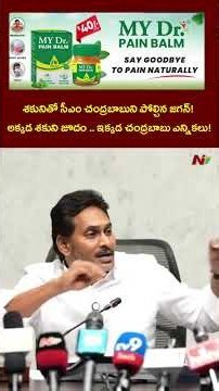 శకునితో సీఎం చంద్రబాబుని పోల్చిన జగన్! | Ntv Telugu