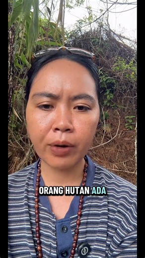 Exploring Borneo's Unique Wildlife Highlights