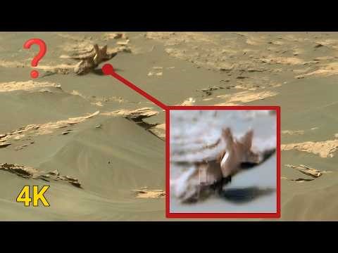 NASA Perseverance Rover Just Released Something Amazing Video Footage of Mars Surface! Latest