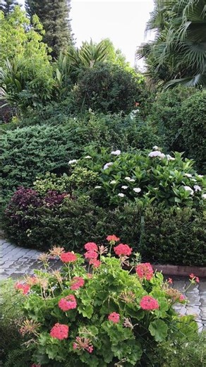 Beautiful flowers, garden & birds' sound in peace park, Brahma kumaris.