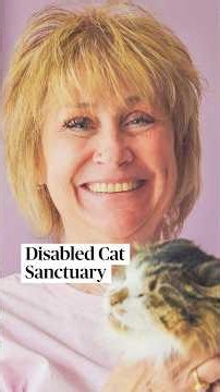 Woman Provides a Home and Love for Disabled Cats