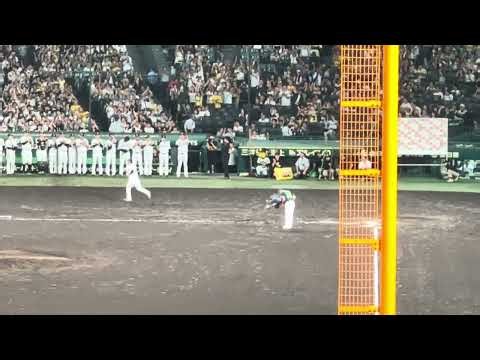 東京ヤクルトスワローズ 石川雅規 甲子園球場のレフトスタンドへ最後の挨拶