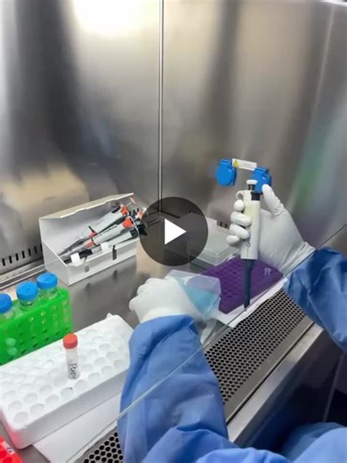 DNA/RNA Extraction: Molecular Diagnostics Process | Kelvin Dodoo posted on the topic | LinkedIn
