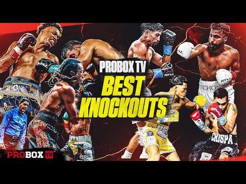 Top 10 Knockouts That BROKE the Internet | ProBox TV