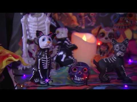 The 540: Talking 2026 Day of the Dead celebrations