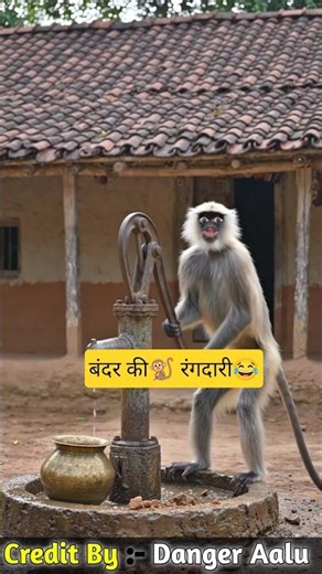 बंदर की🐒 रंगदारी😂#comedy #cartoon @thethar_puns @AaluPyaj39 #monkey #funny