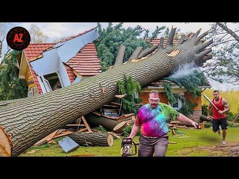 Idiots With Chainsaws: Tree Cutting Fails | Extreme Dangerous Logging Truck Fails #11
