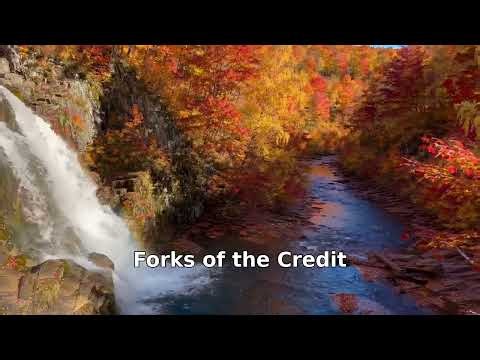Ontario's Best Fall Foliage Spots 🍁 | 6 Places to See Peak Fall Colours