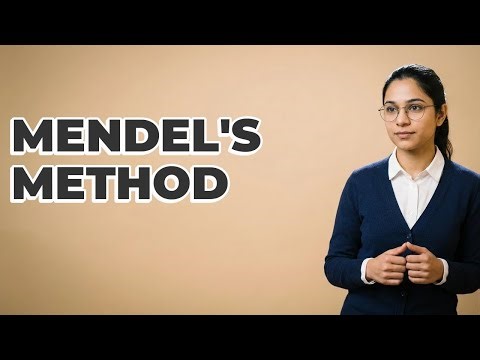 What Scientific Approach Did Mendel Use?