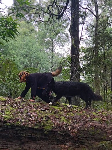 Therian dog nature adventure: follow our Therians journey