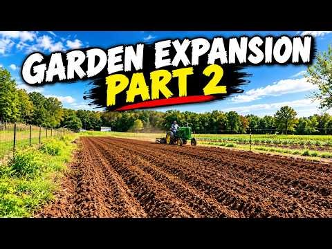 🚜 John Deere Model M & Disk Breaking Plow | Expanding the Garden Part 2