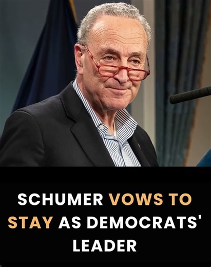 Schumer faces reported Democratic concerns over leadership as he seeks to retain his Senate position