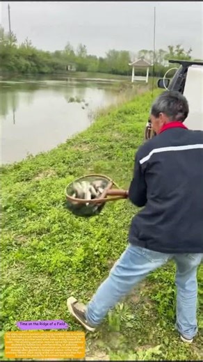 How Truck-to-River Transfers Rebuild Aquatic Ecosystems