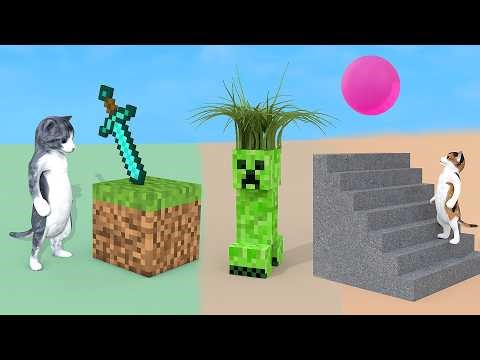 Satisfying 3D physics simulations with Cats