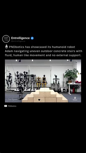 Adam humanoid robot climbs uneven outdoor stairs with fluid motion
