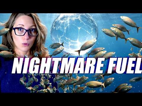 The Dreamlike Effects of this Fish Are Absolutely Horrifying