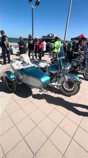 Stunning views at Daytona Beach bike week #daytona #daytonabeach #bikeweek #shorts #trending
