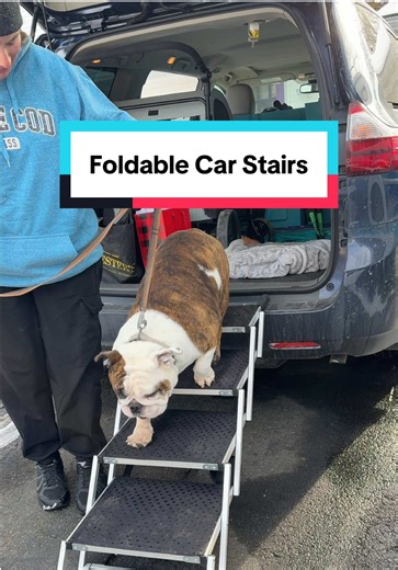 Protect Your Dog's Joints with Foldable Car Stairs