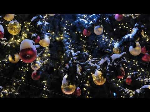 Christmas tree branches with glowing lights and festive ornaments covered in snow