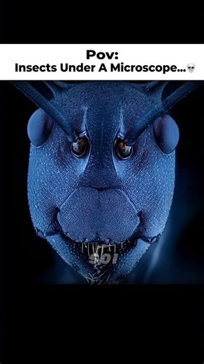 Insects Under A Microscope 🔬💀 #Shorts #Biology #Animals #AnimalsWorld #Insects #Microscope #Creepy