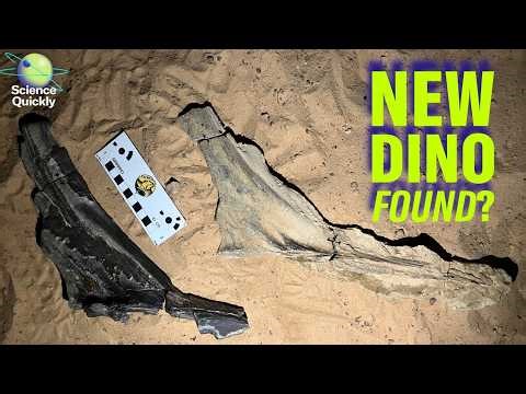 New dino, vaccine shake-ups, dirty air risks