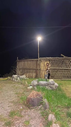 My First Time Cooking: A Beginner's Journey