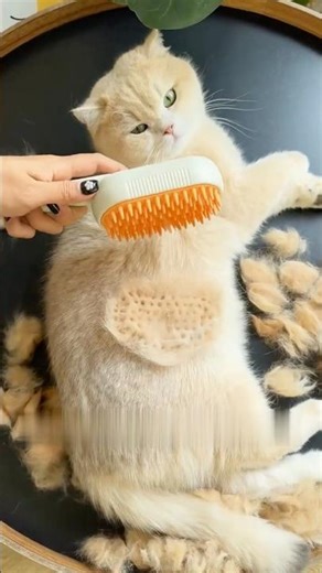 Grooming that feels like a massage 🐾 #dhgate #dhgatefinds #coolgadgets