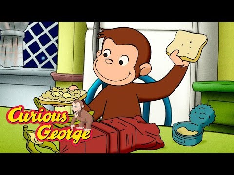 Nighttime Animals 🐵 Curious George 🐵 Kids Cartoon 🐵 Kids Movies