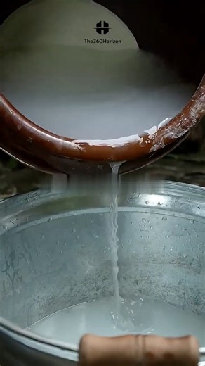 The Tree That Turns Into Sago | The Science Behind Tapioca Pearls