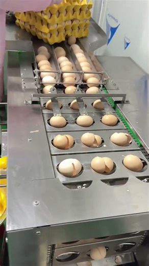 DIY Egg Cracking Machine 🥚⚙️ | Smart Kitchen Engineering That Saves Time