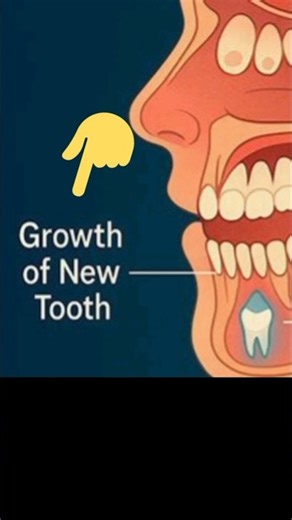 Daant Ugaane Wali Dawa Aa Gayi | Japan Full Update 2025 ❓ | #shorts #viral #toxicthemovie