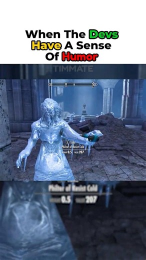 When The Developers Have A Sense Of Humor - Skyrim