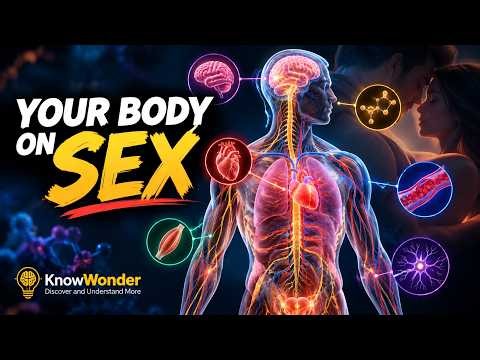 What Sex Does to Your Brain and Body 🧠