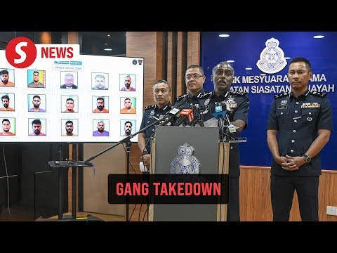 Cops bust 17 gang members linked to robberies and at least two murders
