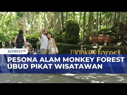 Keindahan Pesona Alam Monkey Forest Ubud Digemari Wisatawan | BERITA UTAMA