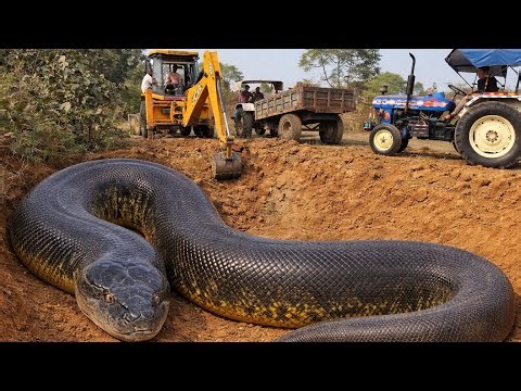 New JCB 3dx Eco Loading Mud Tractor's | Mahindra Tractor , NewHolland Tractor Trolley and Tracks