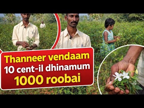 தண்ணீர் வேண்டாம் 10 சென்டில் தினமும் 1000 ரூபாய்/Thanneer vendaam — 10 cent-il dhinamum 1000 roobai