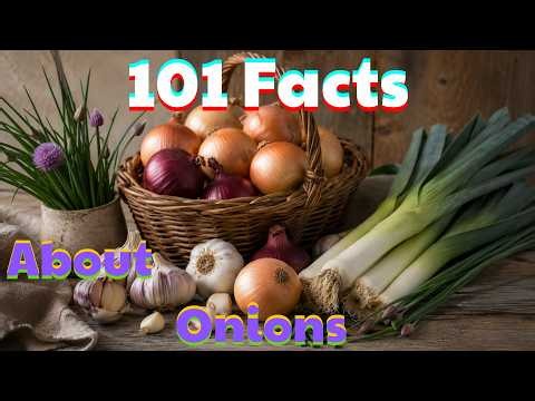 The Most Relaxing Facts About Onions – The Humble Bulb That Makes Humans Cry