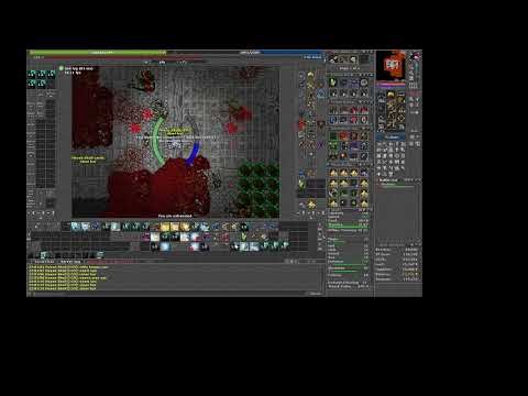 Solo - Royal Paladin 150+ Medusa e Serpent Spawn
