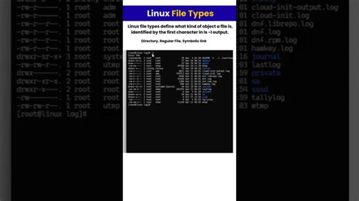 Linux File Types Explained | Mani Kaku posted on the topic | LinkedIn