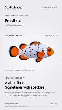 11 Clownfish Varieties Compared 🐠 Beyond Orange & White