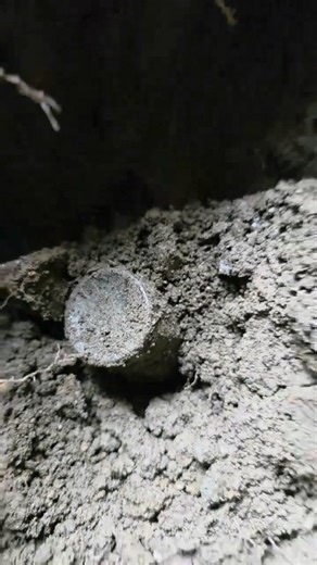 We dug this small paneled medicine bottle from an early 1800s privy. What a killer finds! #treasurehunt #artifacts #digging #metaldetecting #privy #pottery #redware #bottle #bottles #treasure | Susquehanna Bottle Society