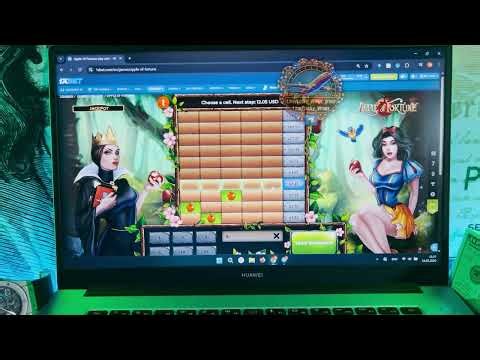 Cracking Fortune's Code: AI Experiment on Apple of Fortune